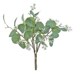 Eucalyptus Seed Bundle - 15.75