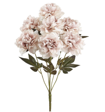 Pale Pink Peony Bush - 22"