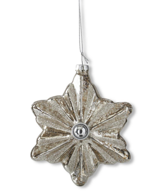 5.5" Silver Mercury Glass Star Ornament w/ Jewels