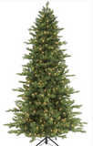 Balsam Fir Tree LED 7.5