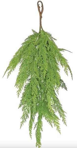 Weeping Cedar Swag 24"