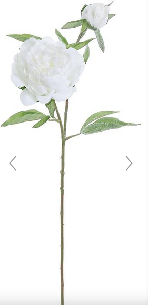 Frosty Peony 28" - White