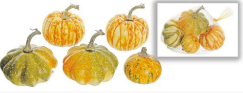 9" Mixed Pumpkin & Gourd in Bag- Orange/Cream