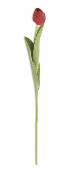 Tulip Single Stem