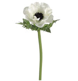 White Anemone Stem - 17