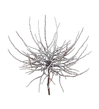 White Magnolia Branch - 19"