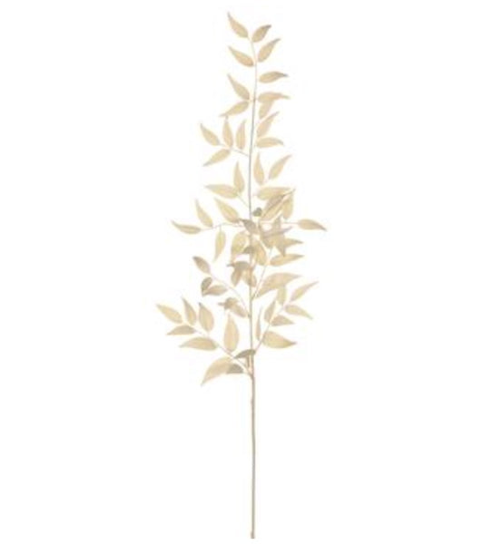 Cream Italian Ruscus Spray - 36"