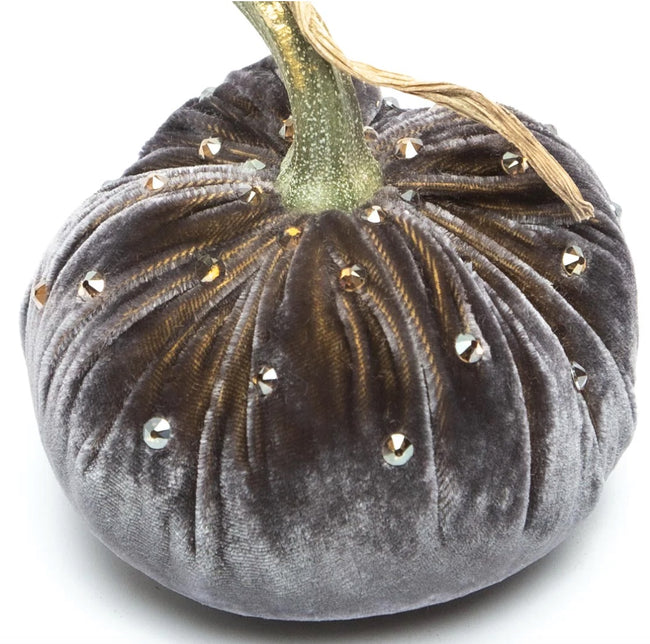 Hot Skwash Graphite Velvet Pumpkin