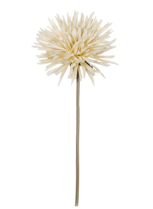 Dahlia Stem - 9.5" Cream